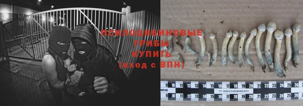 тгк Бородино