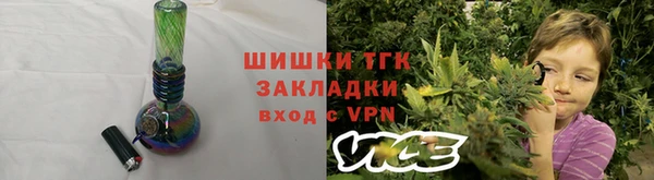 тгк Бородино