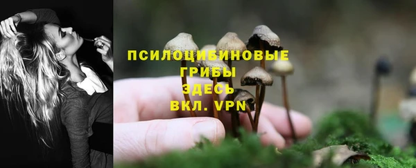 амф Бугульма