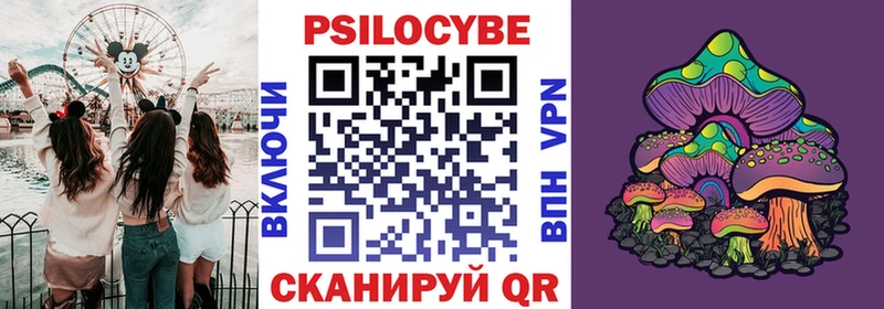 купить закладку  Кировград  Псилоцибиновые грибы Psilocybine cubensis 